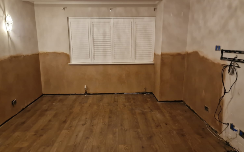 Dry and Wet Rot Treatment