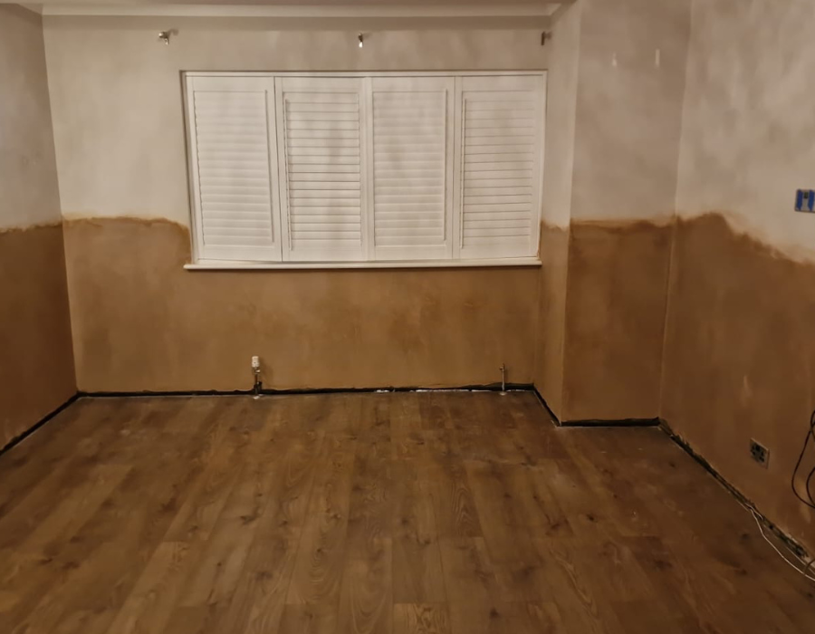 Dry and Wet Rot Treatment