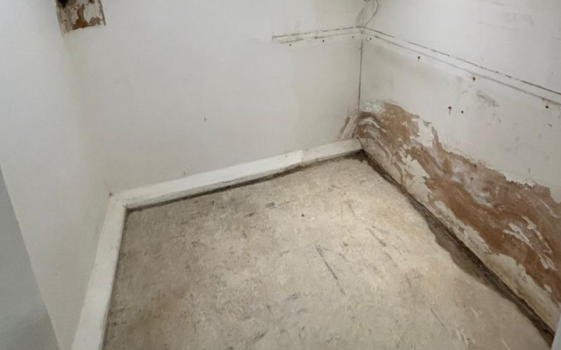 Untitled design - 2026-02-09T121707.489